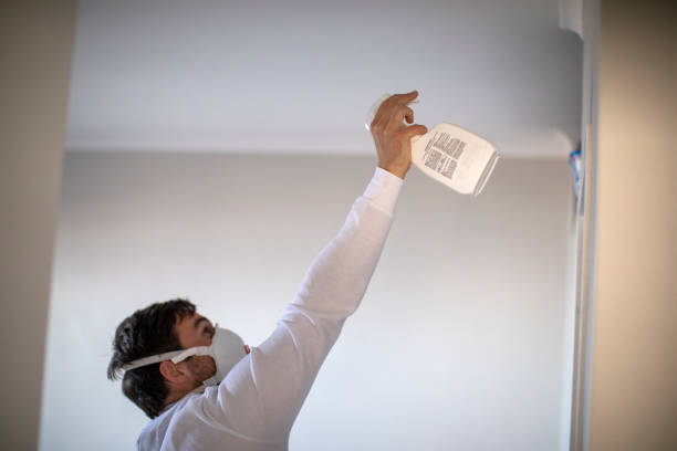 Best Affordable Mold Removal  in Andale, KS
