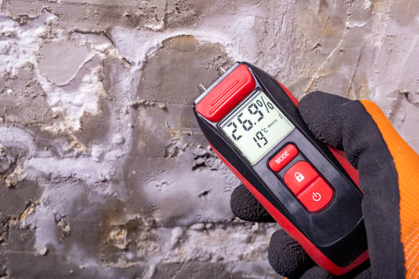 Best Commercial Mold Removal  in Andale, KS