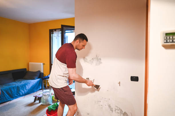Home Mold Removal in Andale, KS